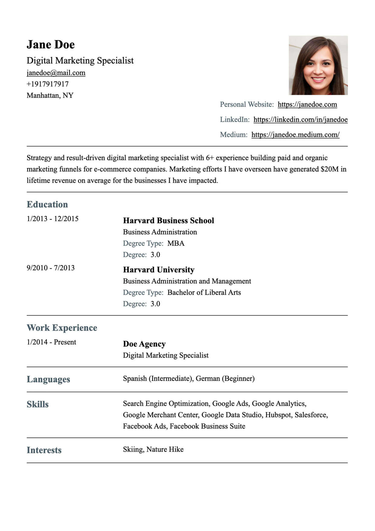 Professional CV Template 1