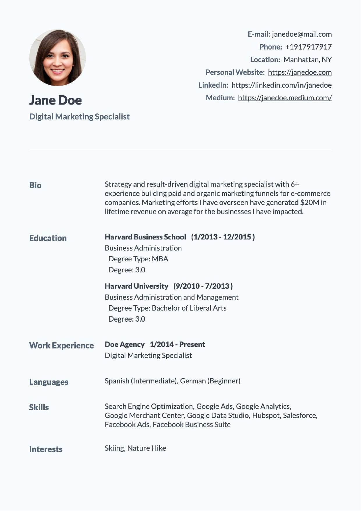 Professional CV Template 3
